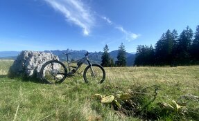 Prototype cadre VTT All Mountain - Trail - triangle avant Titane triangle (…)