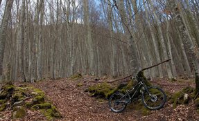 Cadre VTT Enduro 160mm en acier et sur mesure