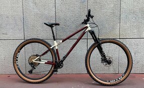 Cadre VTT Enduro Hardtail Endurigide 29 pouces Columbus Zona