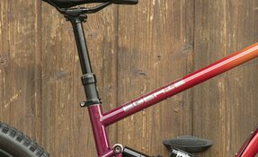 VTT Enduro 160mm boite de vitesse PINION - Courroie, en acier, fabriqué en (…)