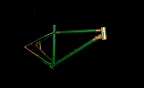 VTT Endurigide Hardtail 29" Columbus Zona et Reynolds 853/631