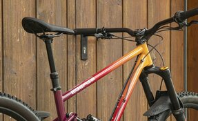 VTT Enduro 160mm boite de vitesse PINION - Courroie, en acier, fabriqué en (…)
