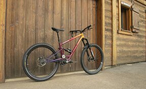 VTT Enduro 160mm boite de vitesse PINION - Courroie, en acier, fabriqué en (…)
